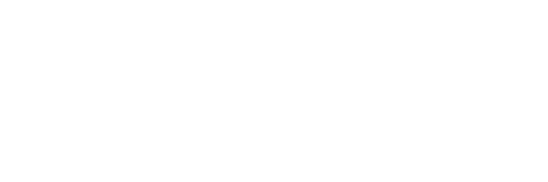 PrecisionLife logo white