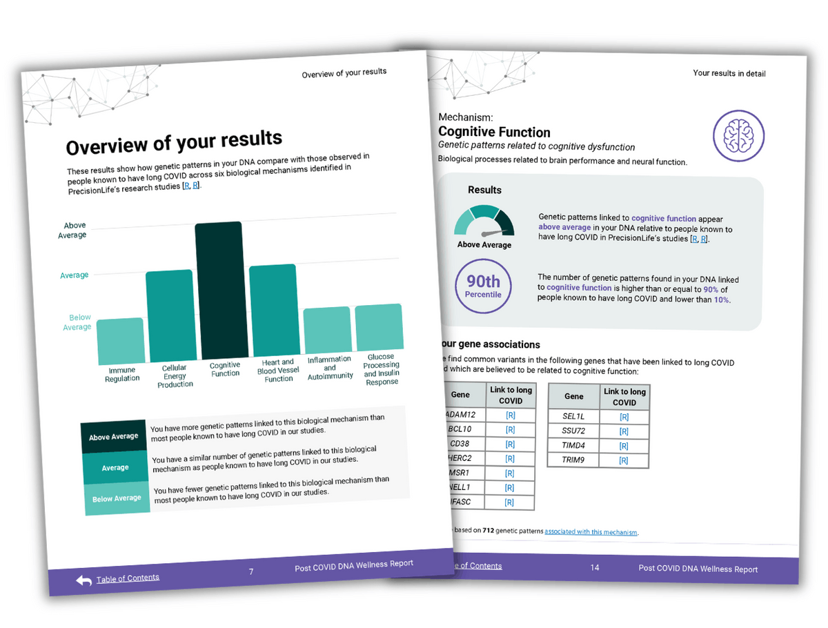 Sample report pages showing cognitive function and brain fog results